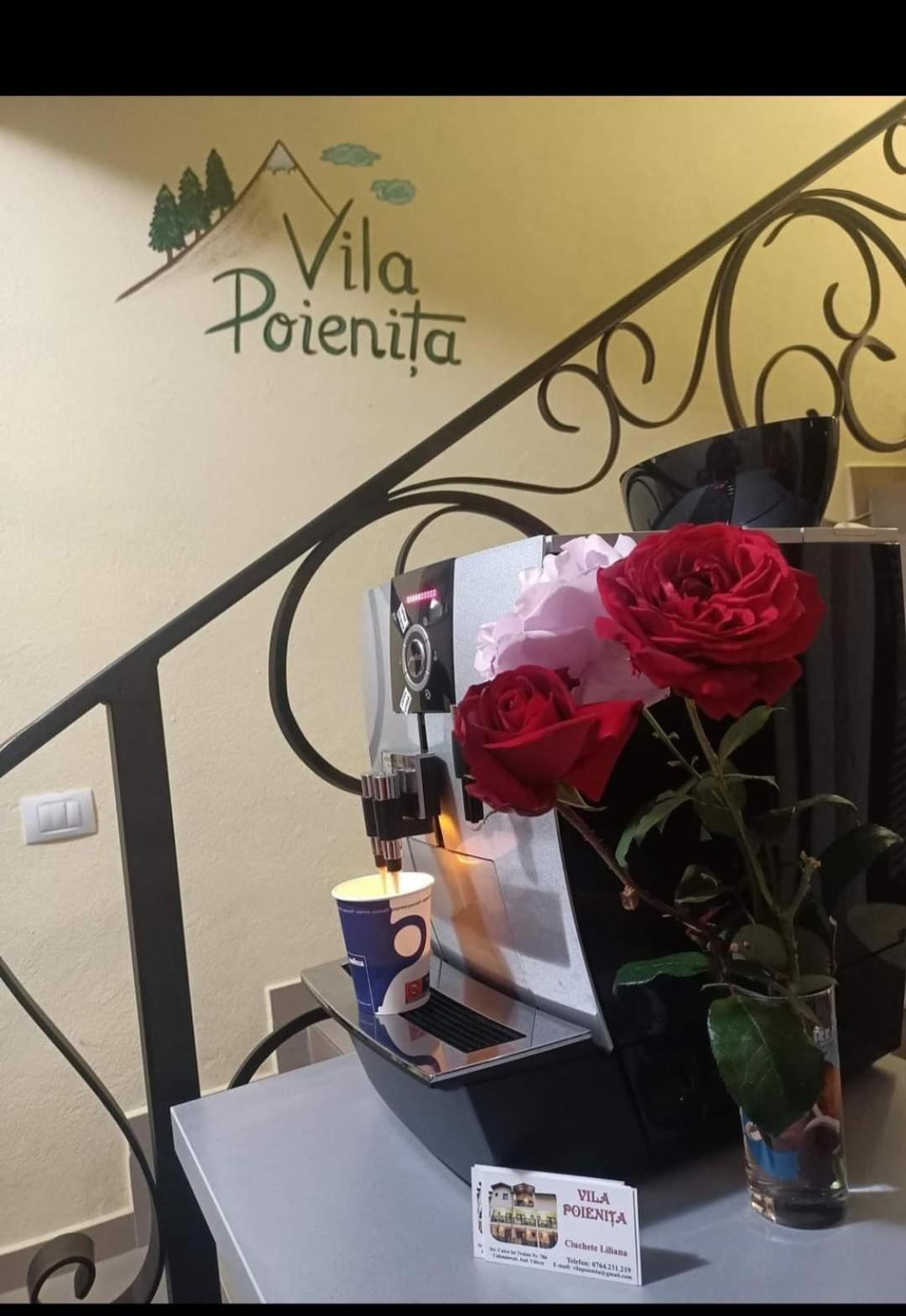 Vila Poienita Caciulata คาลิมาเนช ภายนอก รูปภาพ